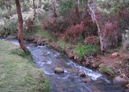 Waterfalls (Lesmurdie Falls)